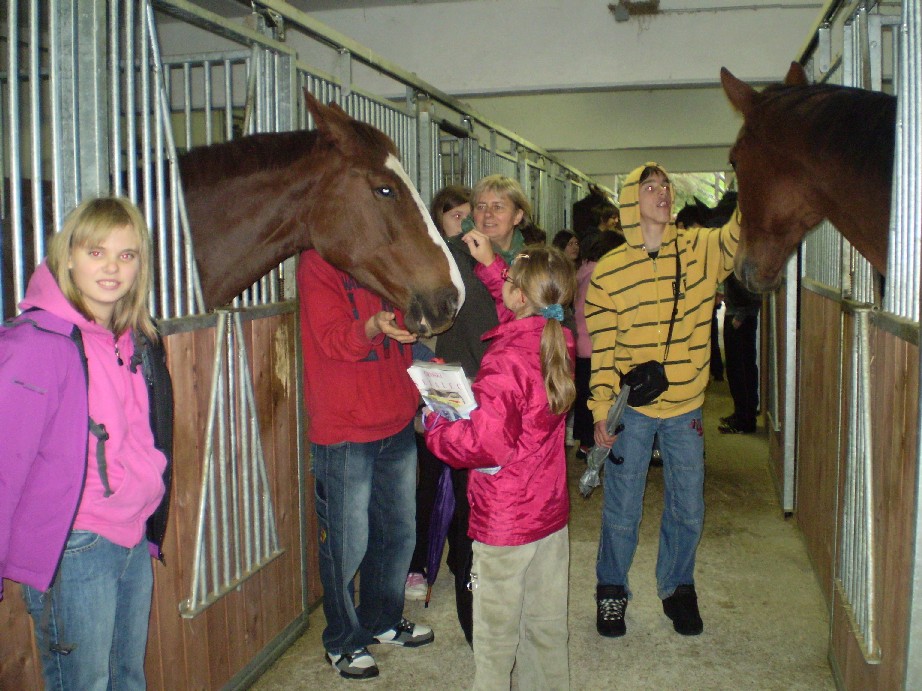 Kmetijska2